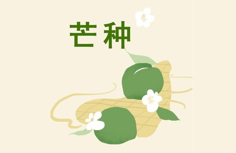 創洲木門丨芒種，是豐收也象征著新生